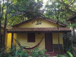 Aruá Observação de aves e natureza, Mata De São João
